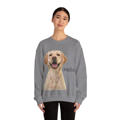 Dog Hello Sweatshirt