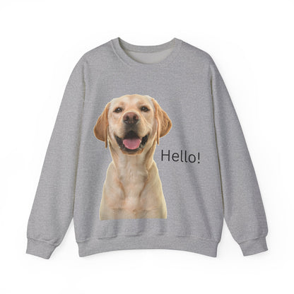 Stay cozy and stylish with this Hello Dog Sweatshirt. Made with a medium-heavy fabric blend of 50% cotton and 50% polyester, it is perfect for colder months. The classic fit, crew neckline, and double-needle stitching offer durability and comfort. The embroidery decoration on the left chest adds a personalized touch. This sweatshirt is ideal for dog lovers and makes a great gift for birthdays, holidays, or any special occasion.