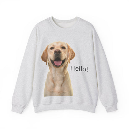 Stay cozy and stylish with this Hello Dog Sweatshirt. Made with a medium-heavy fabric blend of 50% cotton and 50% polyester, it is perfect for colder months. The classic fit, crew neckline, and double-needle stitching offer durability and comfort. The embroidery decoration on the left chest adds a personalized touch. This sweatshirt is ideal for dog lovers and makes a great gift for birthdays, holidays, or any special occasion.