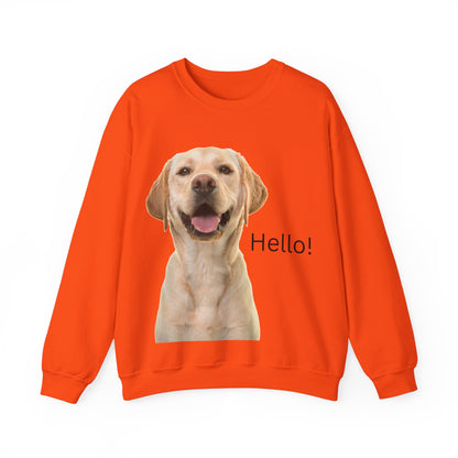 Stay cozy and stylish with this Hello Dog Sweatshirt. Made with a medium-heavy fabric blend of 50% cotton and 50% polyester, it is perfect for colder months. The classic fit, crew neckline, and double-needle stitching offer durability and comfort. The embroidery decoration on the left chest adds a personalized touch. This sweatshirt is ideal for dog lovers and makes a great gift for birthdays, holidays, or any special occasion.