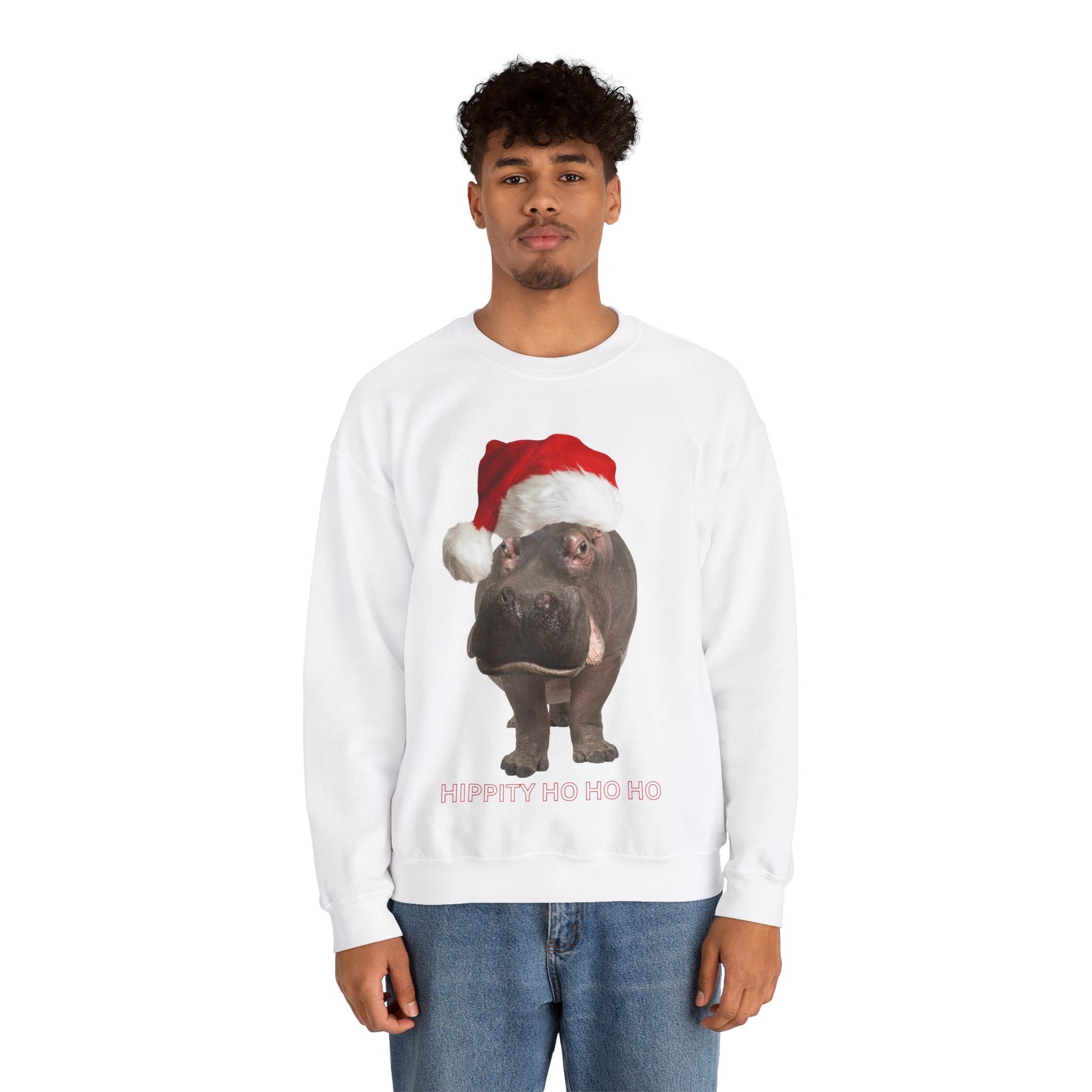 vibrant hippo themed christmas jumper for animal lovers and wildlife lovers. Hippity-ho ho ho