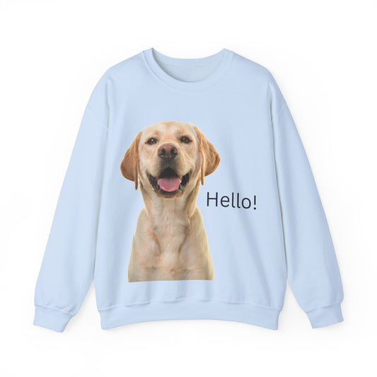 Stay cozy and stylish with this Hello Dog Sweatshirt. Made with a medium-heavy fabric blend of 50% cotton and 50% polyester, it is perfect for colder months. The classic fit, crew neckline, and double-needle stitching offer durability and comfort. The embroidery decoration on the left chest adds a personalized touch. This sweatshirt is ideal for dog lovers and makes a great gift for birthdays, holidays, or any special occasion.