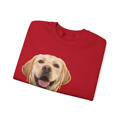 Dog Hello Sweatshirt