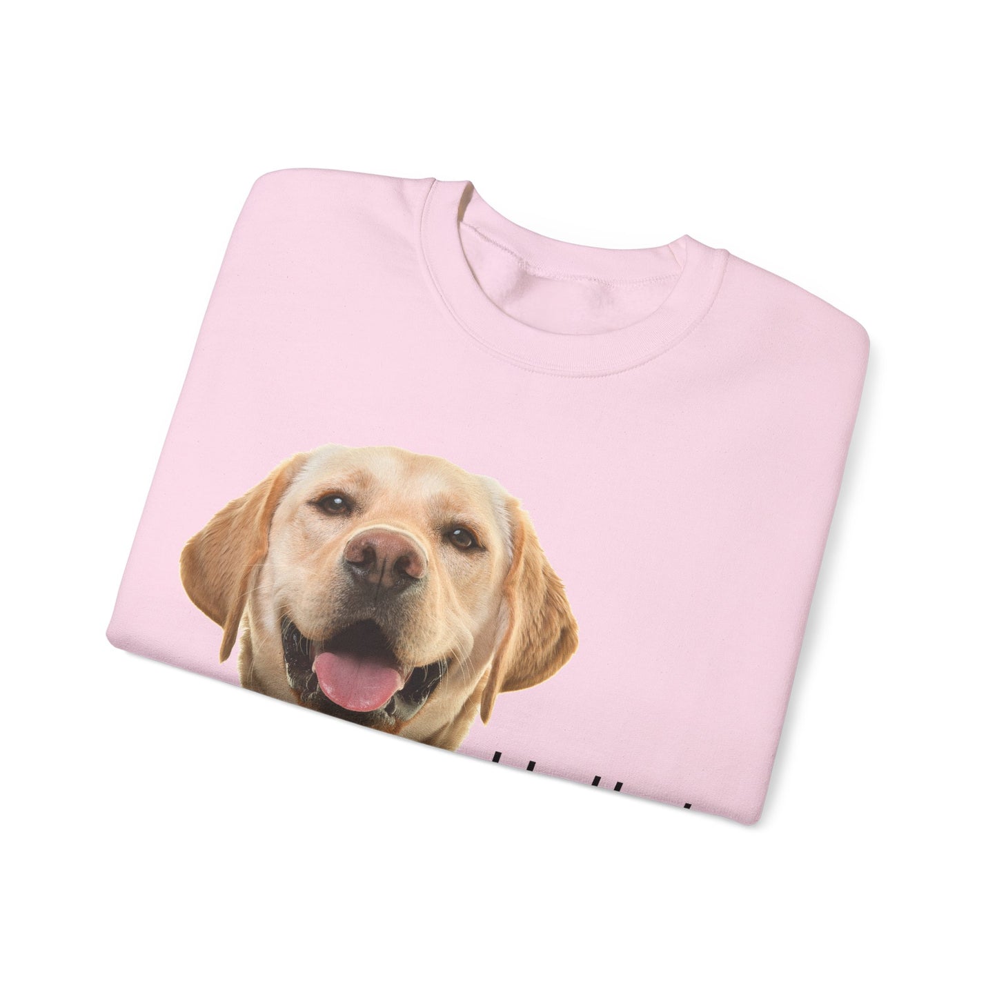 Dog Hello Sweatshirt