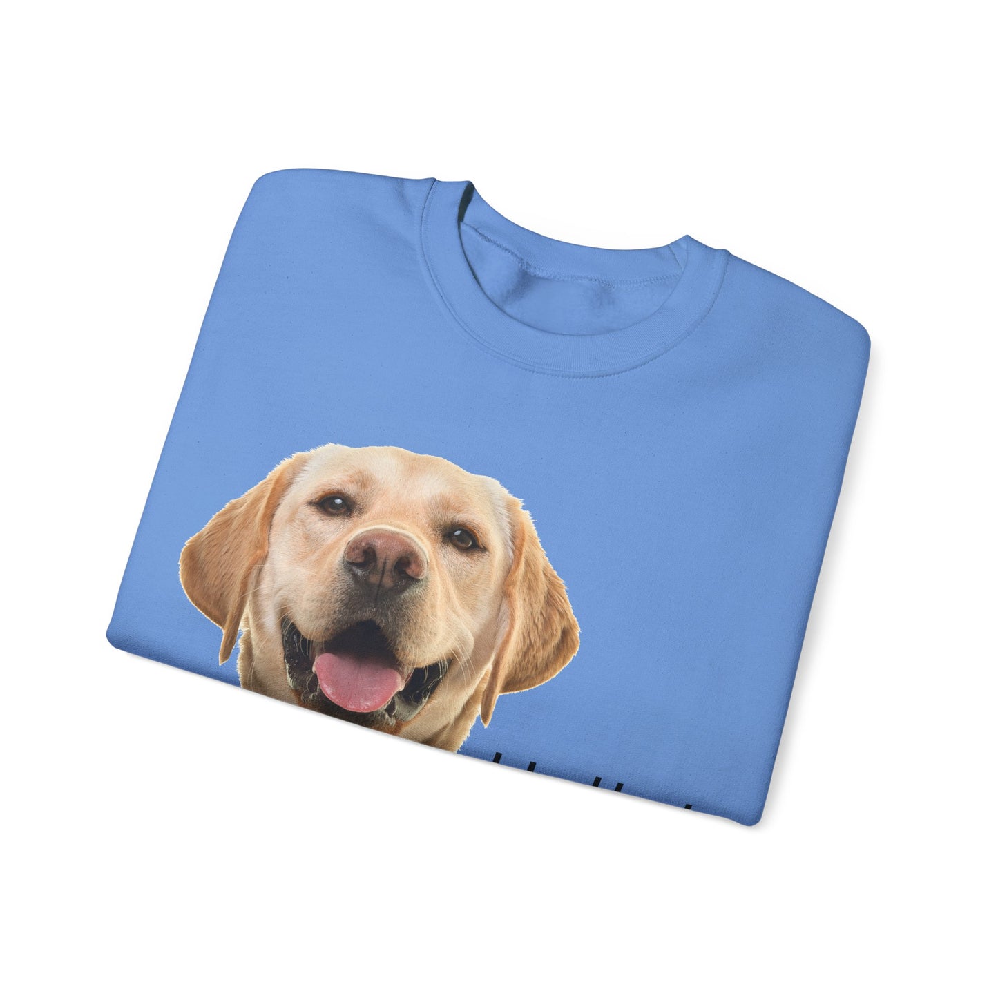 Dog Hello Sweatshirt