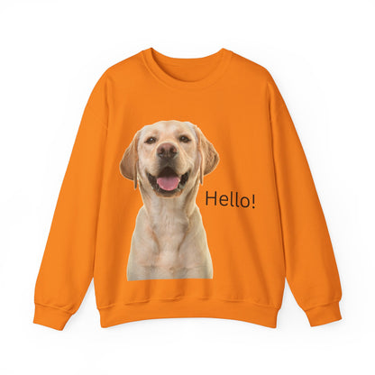 Stay cozy and stylish with this Hello Dog Sweatshirt. Made with a medium-heavy fabric blend of 50% cotton and 50% polyester, it is perfect for colder months. The classic fit, crew neckline, and double-needle stitching offer durability and comfort. The embroidery decoration on the left chest adds a personalized touch. This sweatshirt is ideal for dog lovers and makes a great gift for birthdays, holidays, or any special occasion.