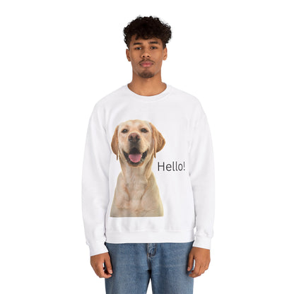 Dog Hello Sweatshirt