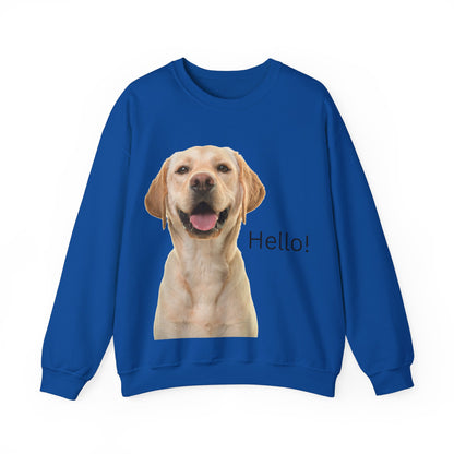 Dog Hello Sweatshirt