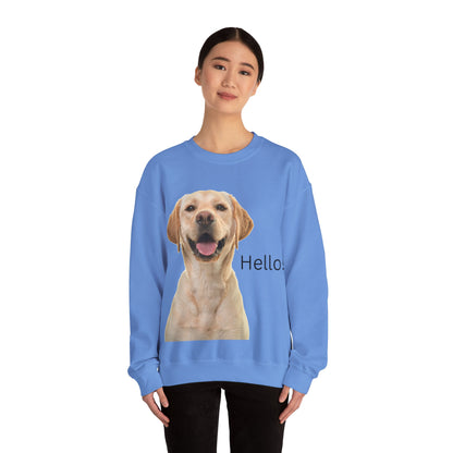 Dog Hello Sweatshirt