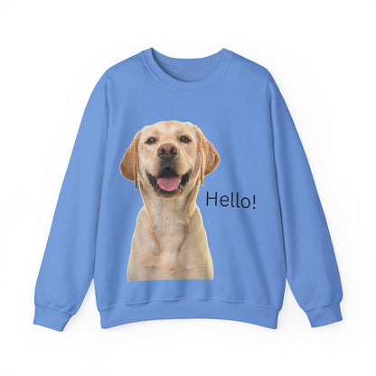 Stay cozy and stylish with this Hello Dog Sweatshirt. Made with a medium-heavy fabric blend of 50% cotton and 50% polyester, it is perfect for colder months. The classic fit, crew neckline, and double-needle stitching offer durability and comfort. The embroidery decoration on the left chest adds a personalized touch. This sweatshirt is ideal for dog lovers and makes a great gift for birthdays, holidays, or any special occasion.