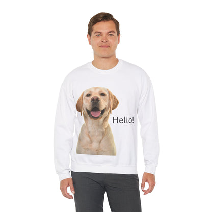 Dog Hello Sweatshirt