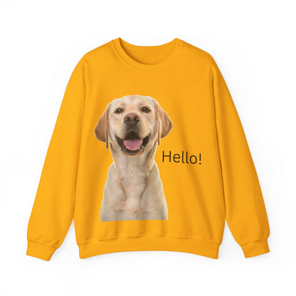 Stay cozy and stylish with this Hello Dog Sweatshirt. Made with a medium-heavy fabric blend of 50% cotton and 50% polyester, it is perfect for colder months. The classic fit, crew neckline, and double-needle stitching offer durability and comfort. The embroidery decoration on the left chest adds a personalized touch. This sweatshirt is ideal for dog lovers and makes a great gift for birthdays, holidays, or any special occasion.