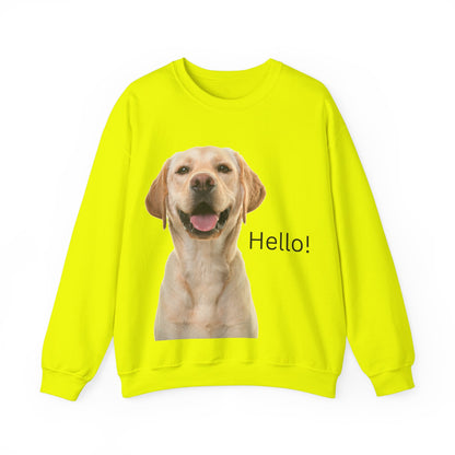 Stay cozy and stylish with this Hello Dog Sweatshirt. Made with a medium-heavy fabric blend of 50% cotton and 50% polyester, it is perfect for colder months. The classic fit, crew neckline, and double-needle stitching offer durability and comfort. The embroidery decoration on the left chest adds a personalized touch. This sweatshirt is ideal for dog lovers and makes a great gift for birthdays, holidays, or any special occasion.