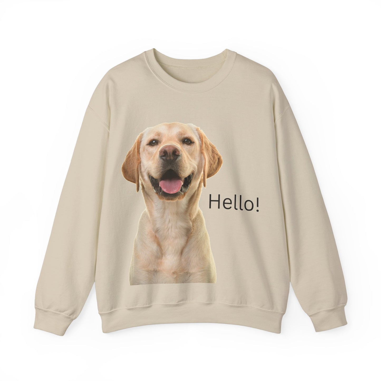 Stay cozy and stylish with this Hello Dog Sweatshirt. Made with a medium-heavy fabric blend of 50% cotton and 50% polyester, it is perfect for colder months. The classic fit, crew neckline, and double-needle stitching offer durability and comfort. The embroidery decoration on the left chest adds a personalized touch. This sweatshirt is ideal for dog lovers and makes a great gift for birthdays, holidays, or any special occasion.