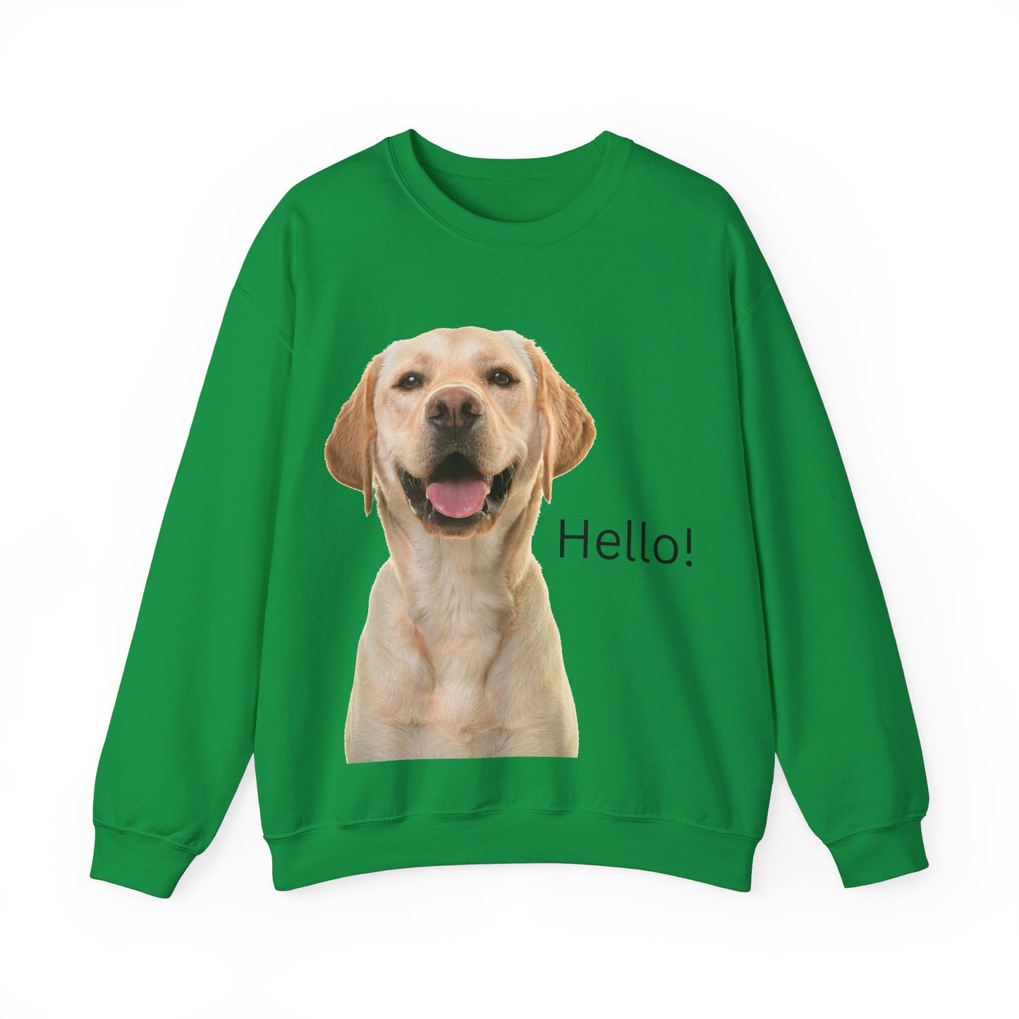 Stay cozy and stylish with this Hello Dog Sweatshirt. Made with a medium-heavy fabric blend of 50% cotton and 50% polyester, it is perfect for colder months. The classic fit, crew neckline, and double-needle stitching offer durability and comfort. The embroidery decoration on the left chest adds a personalized touch. This sweatshirt is ideal for dog lovers and makes a great gift for birthdays, holidays, or any special occasion.