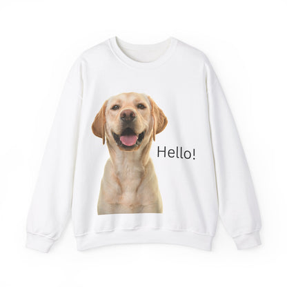 Stay cozy and stylish with this Hello Dog Sweatshirt. Made with a medium-heavy fabric blend of 50% cotton and 50% polyester, it is perfect for colder months. The classic fit, crew neckline, and double-needle stitching offer durability and comfort. The embroidery decoration on the left chest adds a personalized touch. This sweatshirt is ideal for dog lovers and makes a great gift for birthdays, holidays, or any special occasion.