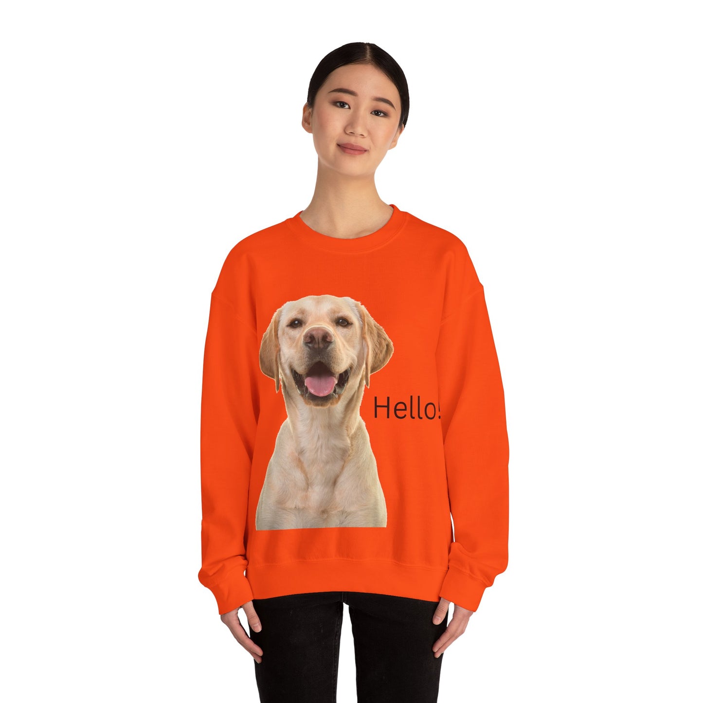 Dog Hello Sweatshirt