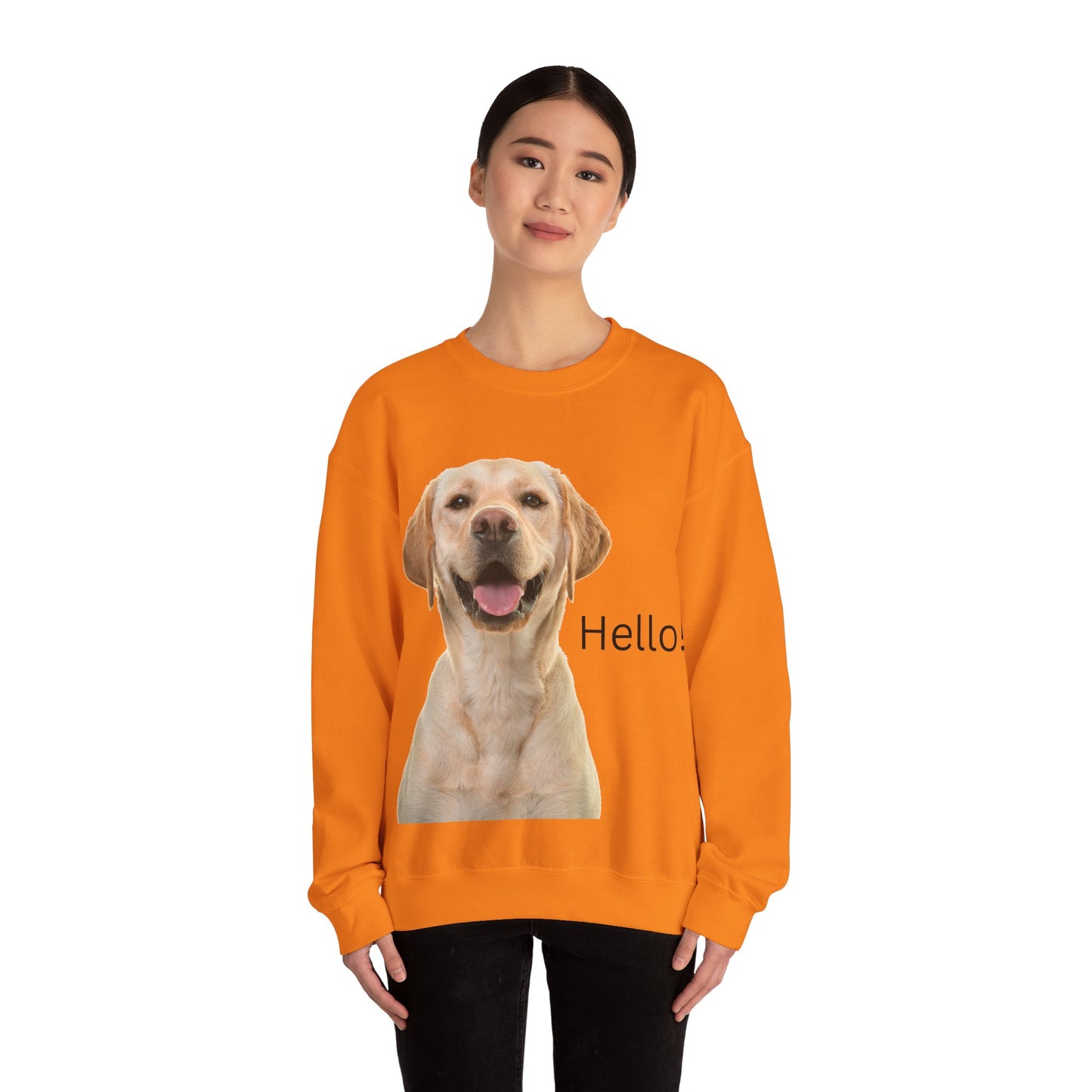 Dog Hello Sweatshirt