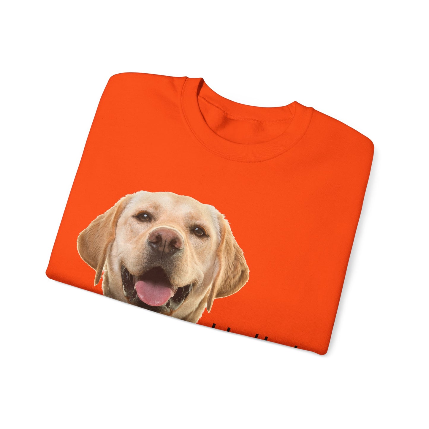 Dog Hello Sweatshirt